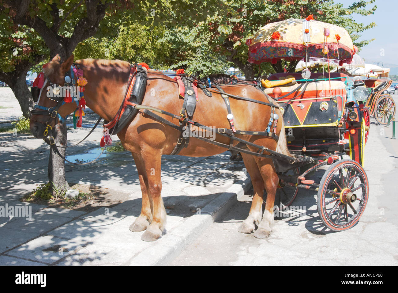 Horse drawn carriage. Kerkyra old town, Corfu, Greece. Stock Photo