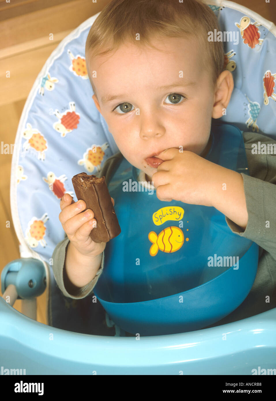 Young boy sitting down in a highchair eating a chocolate roll Stock Photo