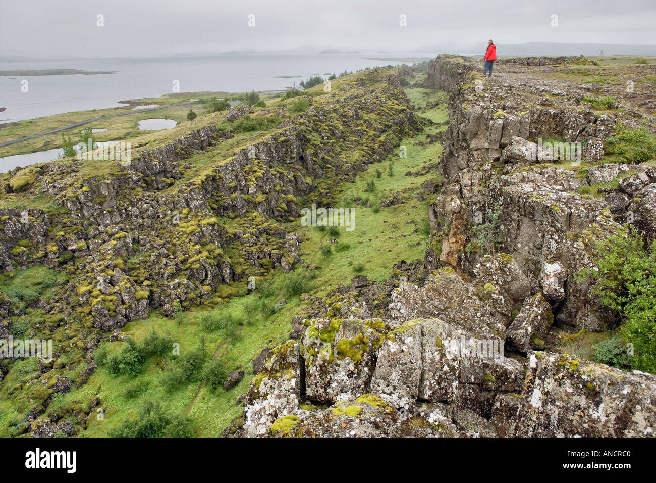 Thingvellir Fissure Zone Iceland meeting of the North American Plate the Euro Asian Plate UNESCO World Heritag Site Stock Photo