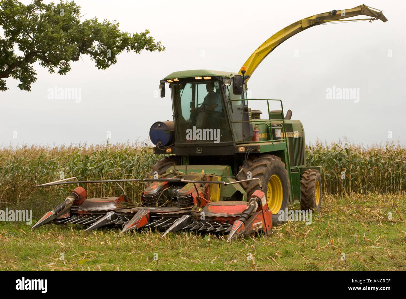 Forage harvester fitted with maize header Stock Photo Alamy
