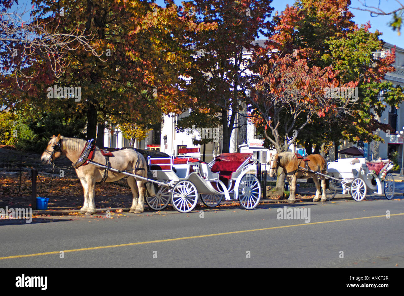 Horse Drawn Carriage Victoria Vancouver Island BC Stock Photo Alamy