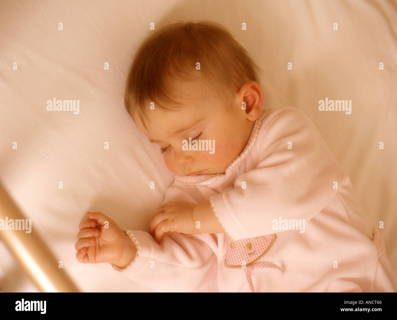 Baby girl sleeping in her cot Stock Photo Alamy