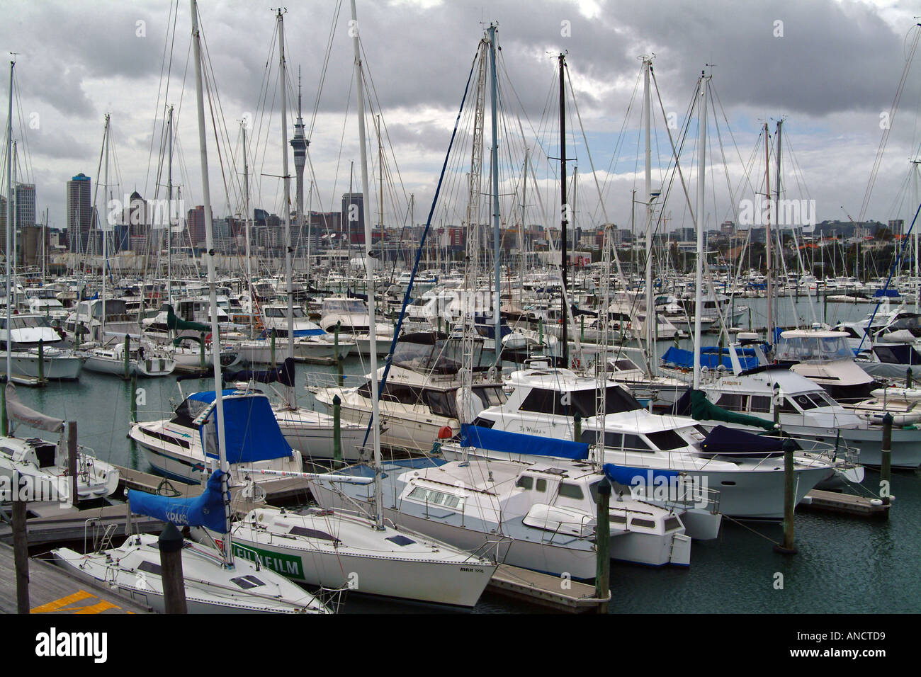 Yachts in Auckland Stock Photo