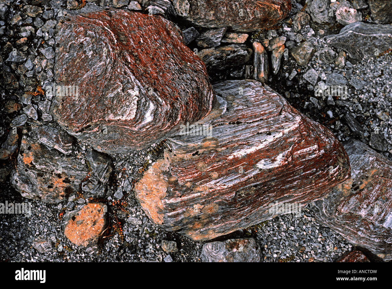 Scratched hi-res stock photography and images - Alamy