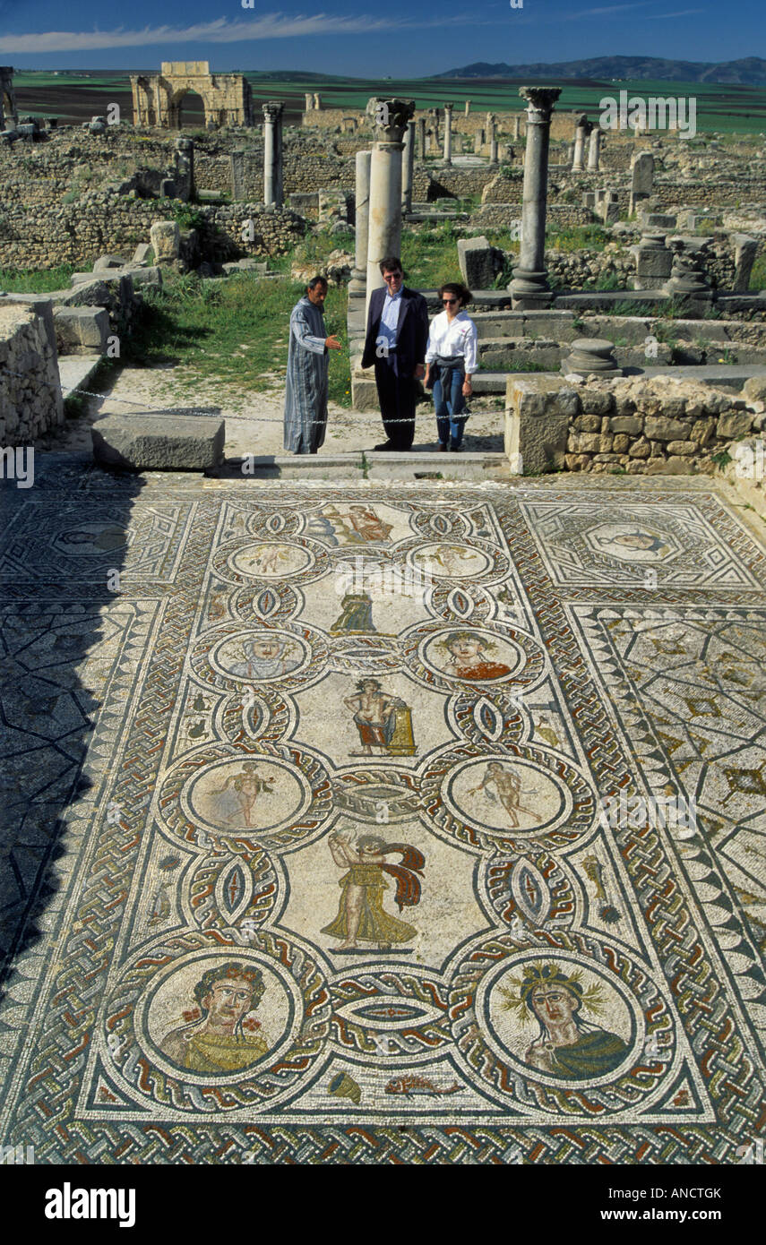 Mosaic of Four Seasons at House of Dionysus at Volubilis Morocco Stock Photo