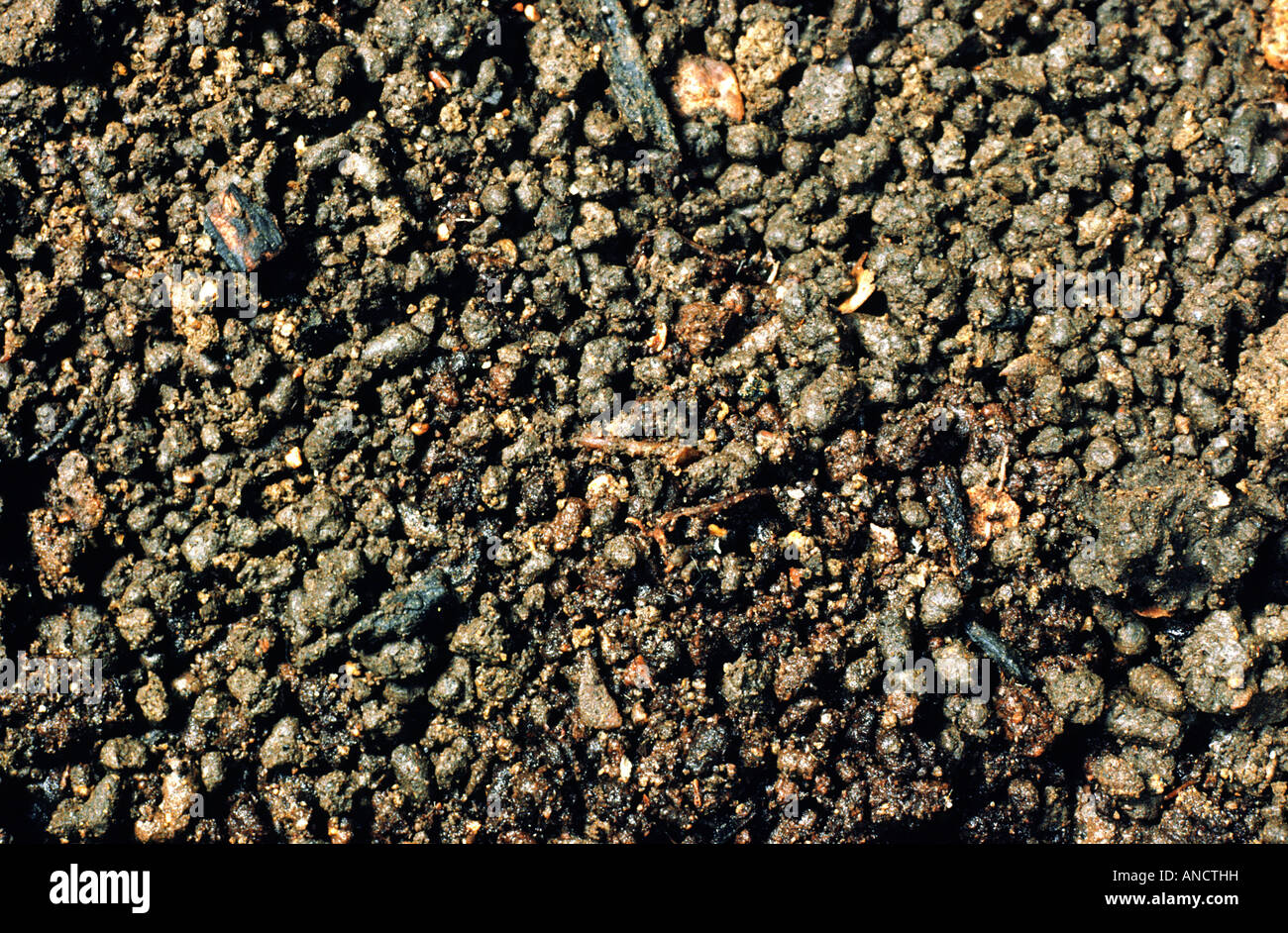 Soil up hi-res stock photography and images - Alamy