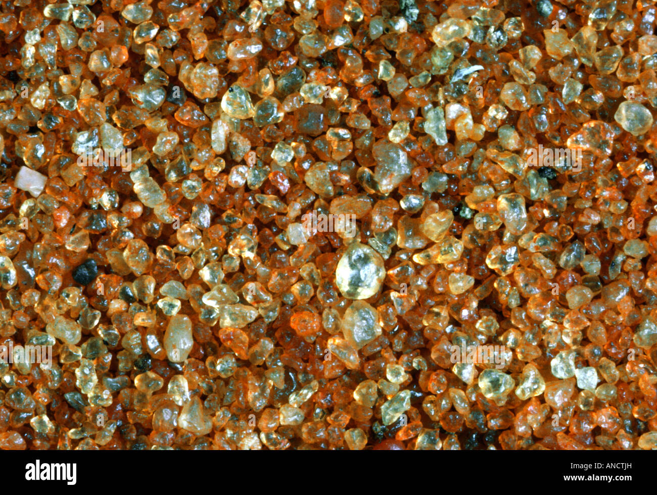 Kalahari Desert Sand Stock Photo Alamy