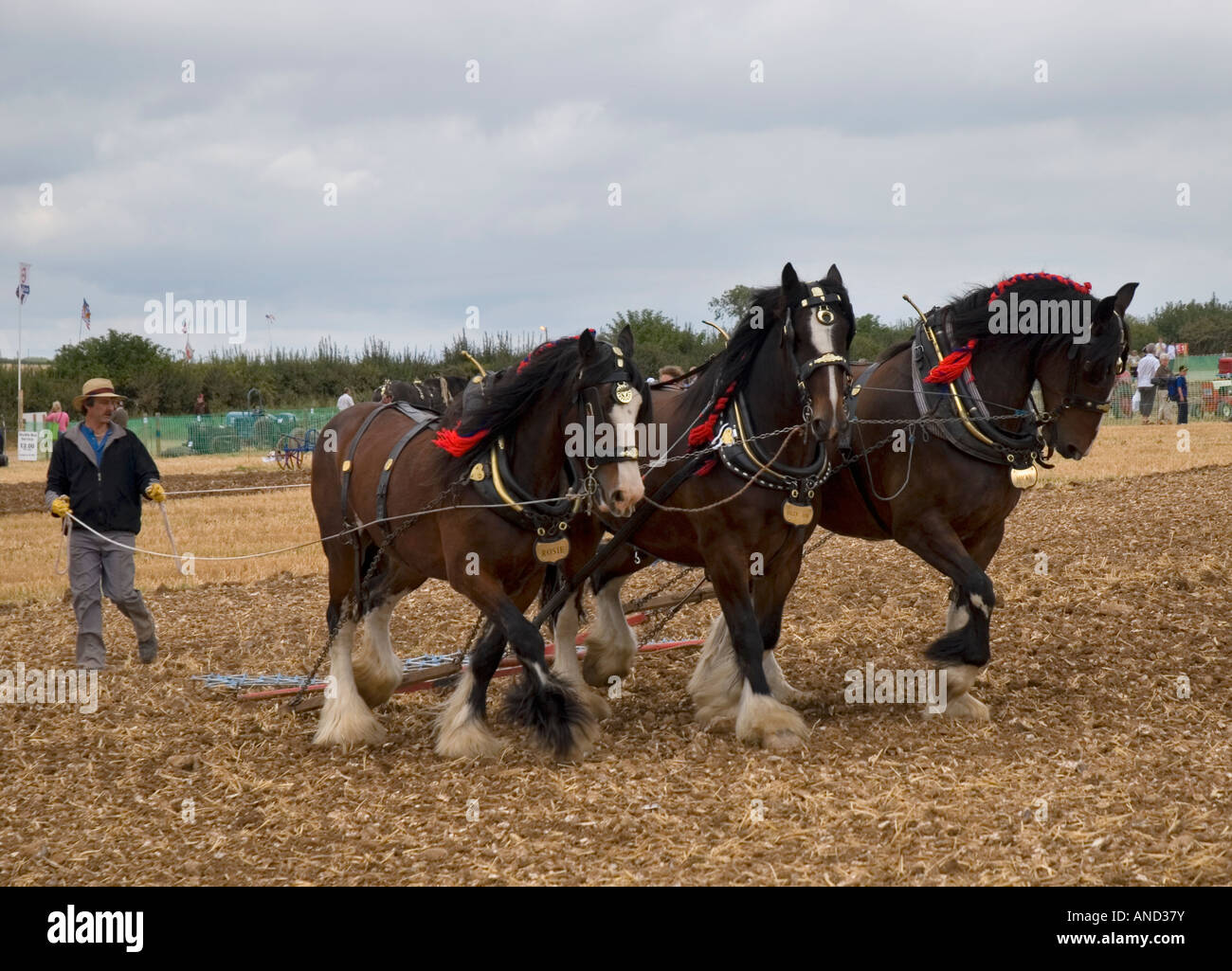 Shire horses ploughing at the 2007 Great Dorset Steam Fair Blandford