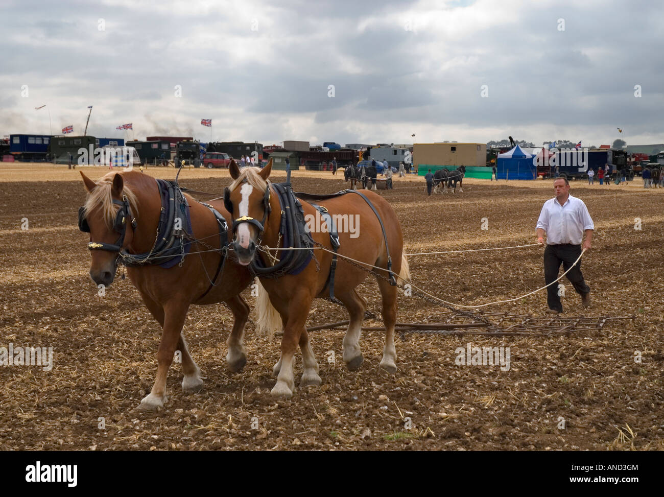 Shire horses ploughing at the 2007 Great Dorset Steam Fair Blandford