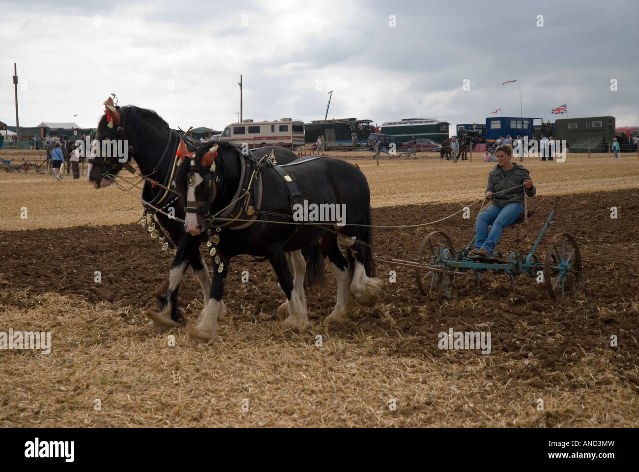 Shire horses ploughing at the 2007 Great Dorset Steam Fair Blandford