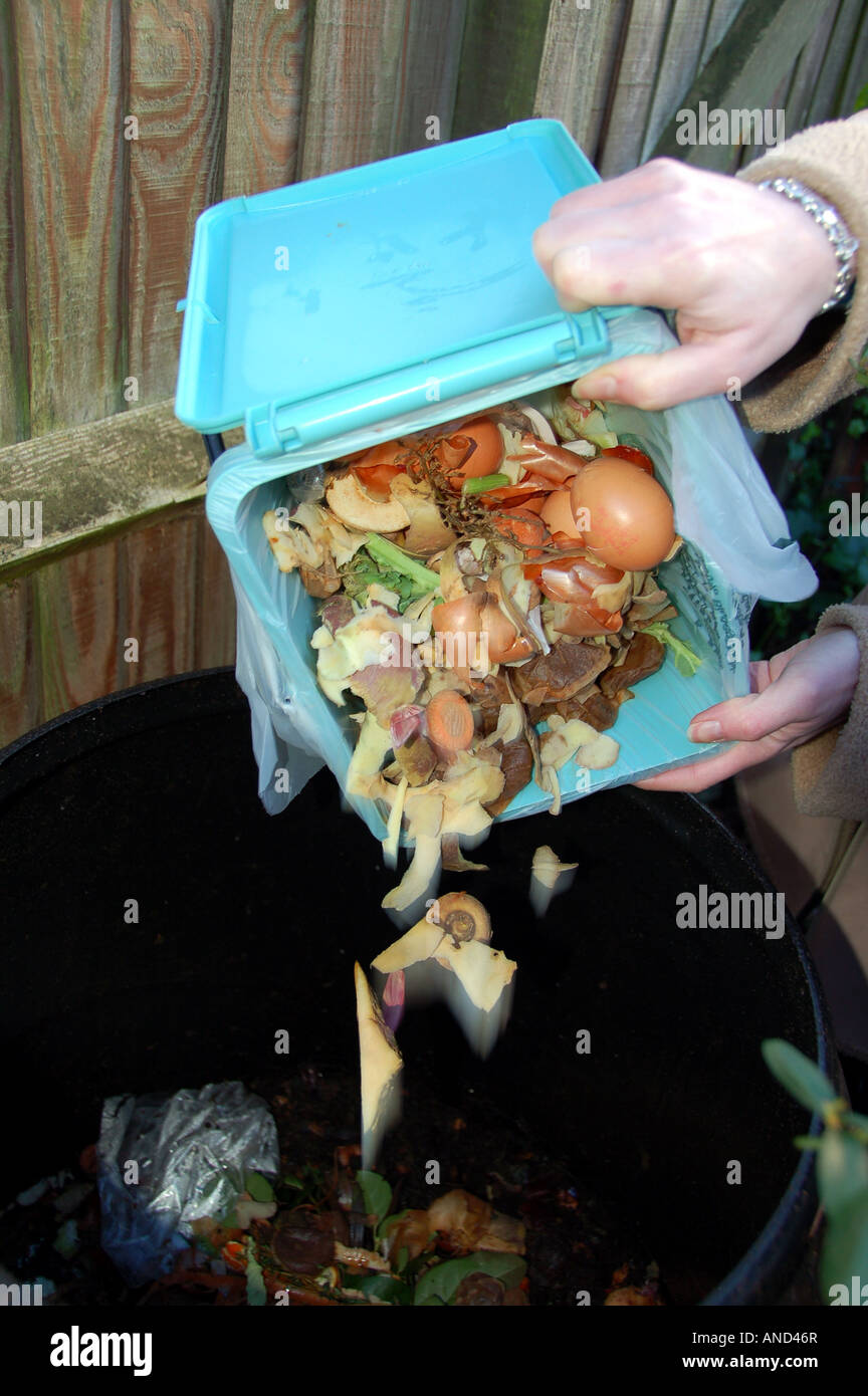 Woman emptying kitchen waste into a compost bin Stock Photo Alamy