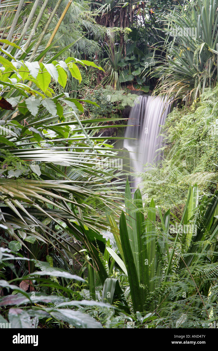 waterfall in the Masoala Rainforest Zurich Zoo Switzerland Stock Photo