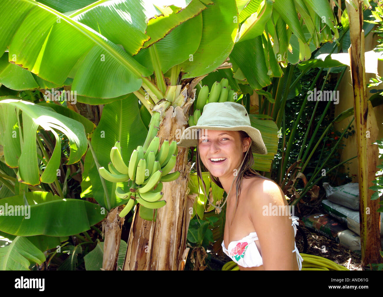 Girl laughing picking bananas Stock Photo Alamy