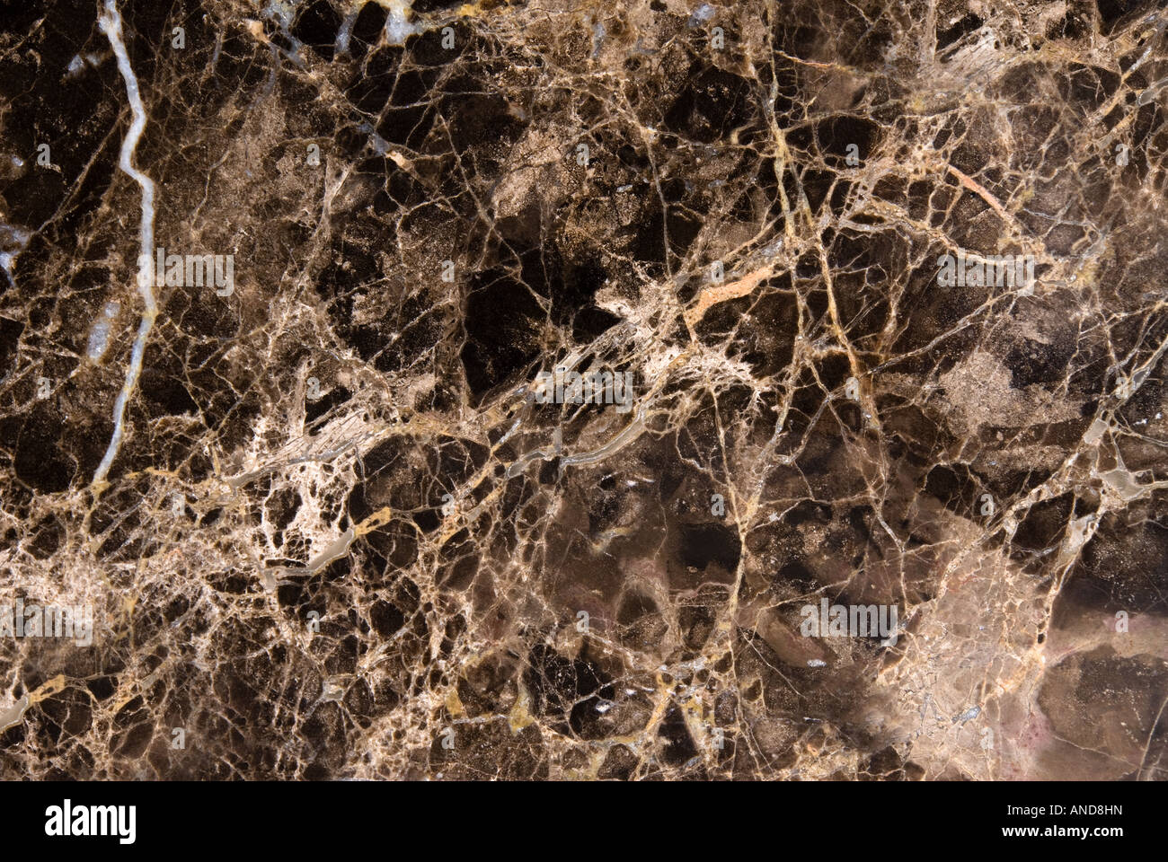 Black marble countertop shows excellent detail of the veins and colored patches Stock Photo