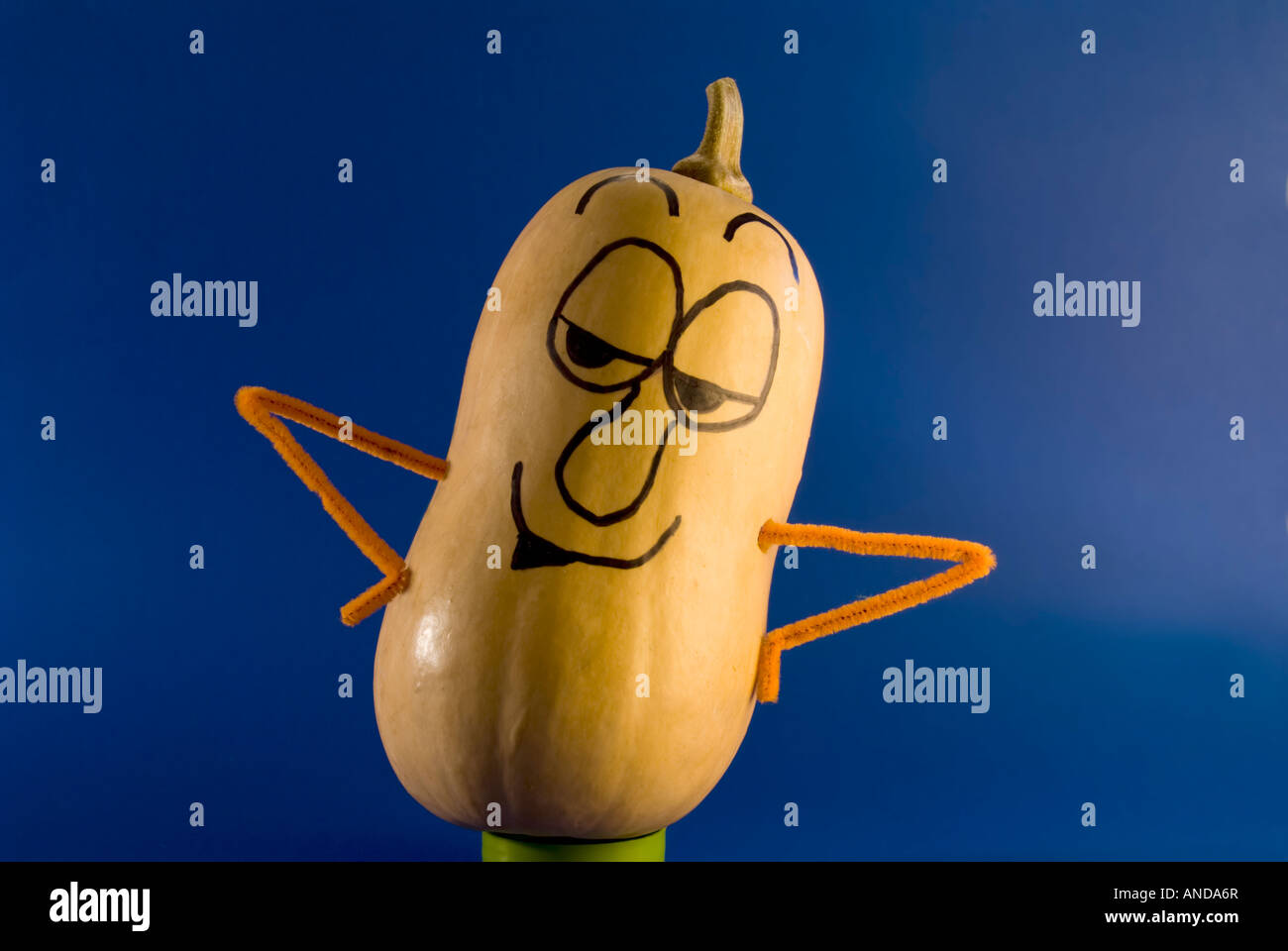 A butternut squash used as a funny character. Stock Photo