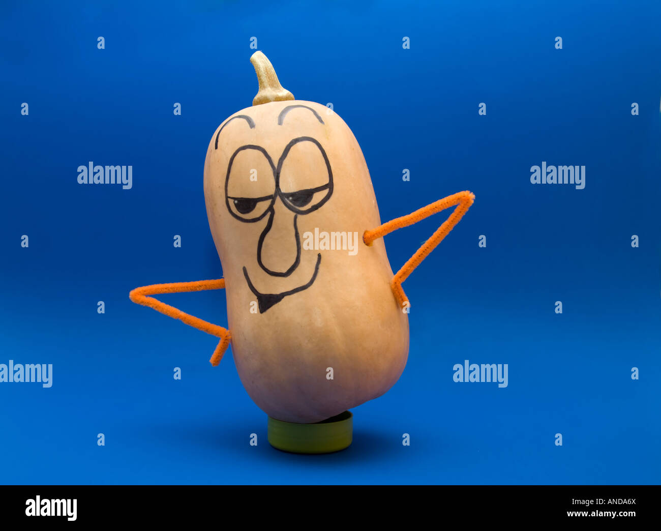 A butternut squash used as a funny character with a drawn on face. Cutout. Studio, blue background. Stock Photo