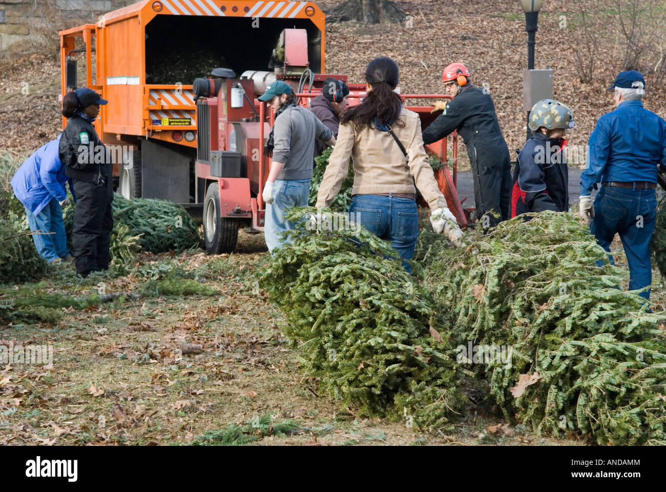 Recycling trees hires stock photography and images Alamy
