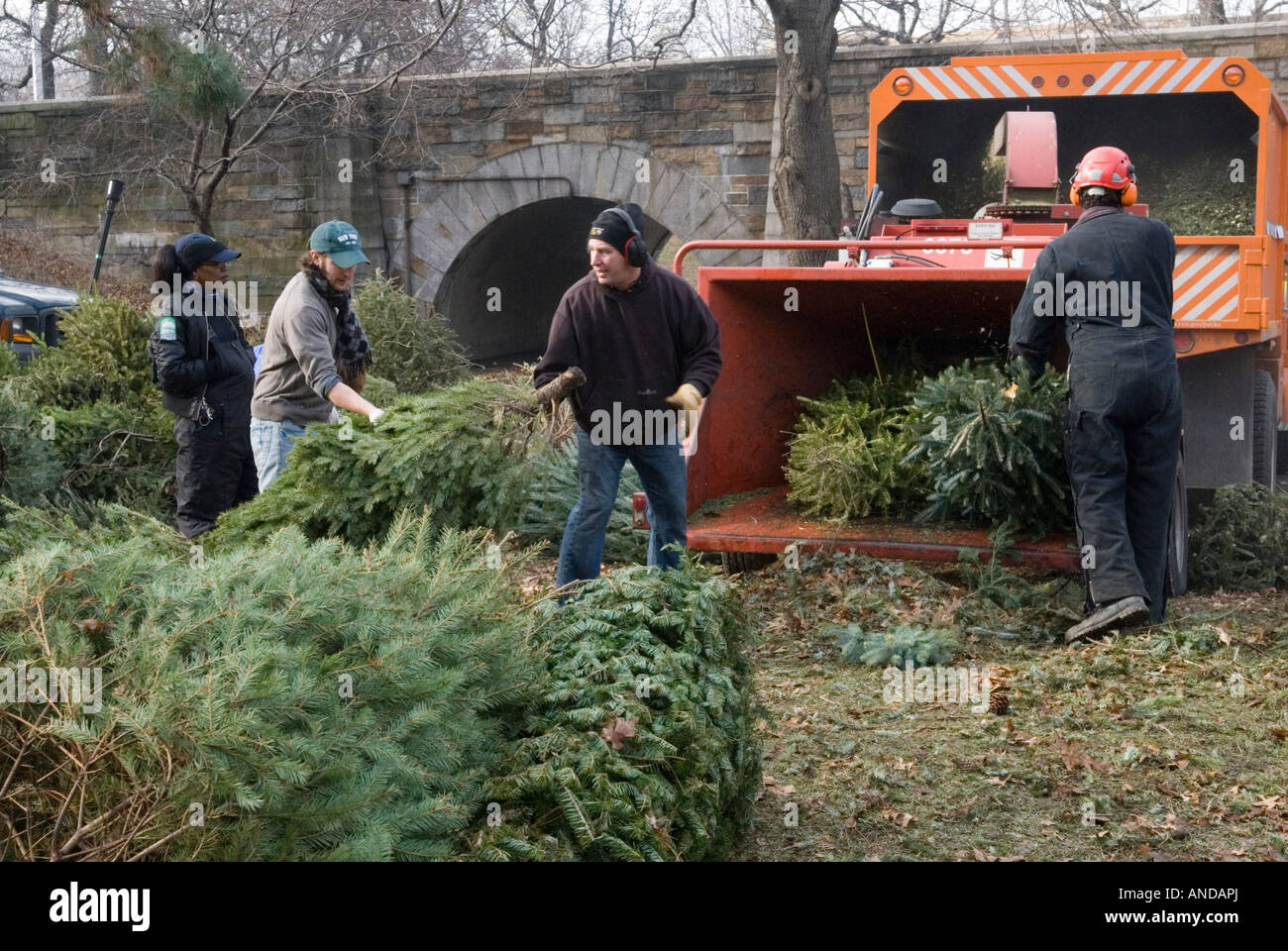 Chipper Christmas High Resolution Stock Photography and Images Alamy