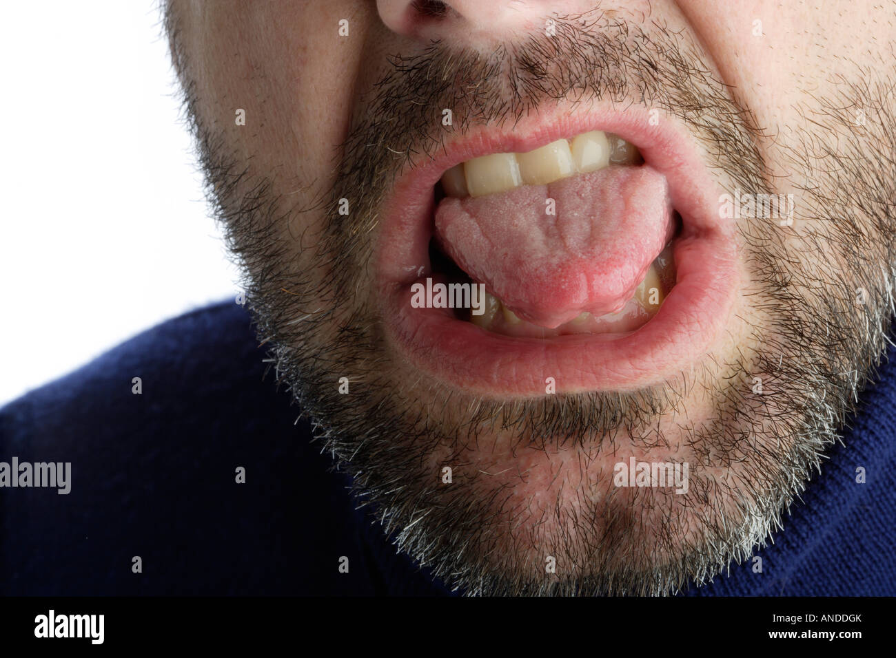 Bearded man sticking out tongue hi-res stock photography and images - Alamy