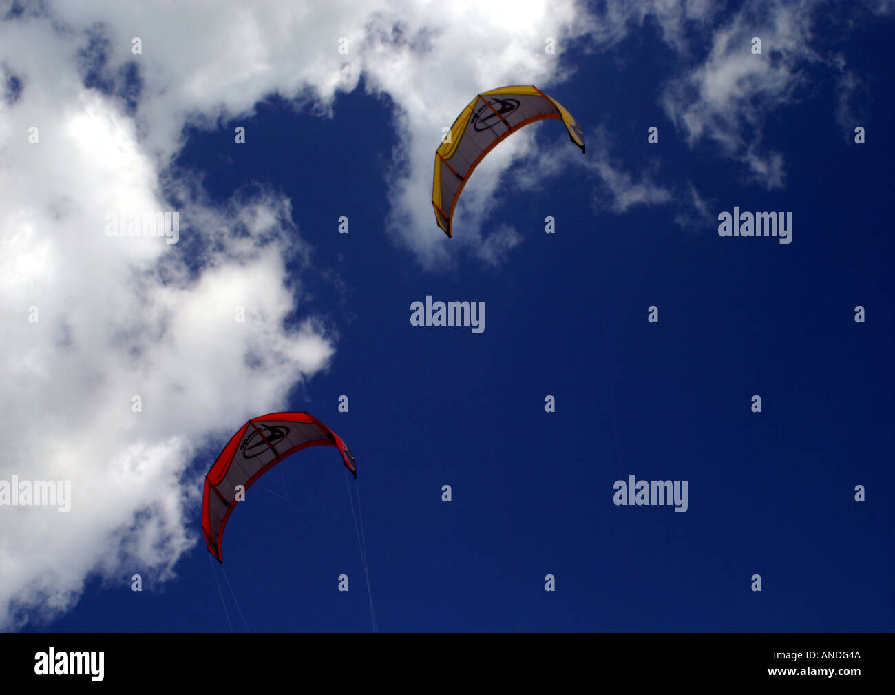 Kites Perth Australia Stock Photo Alamy