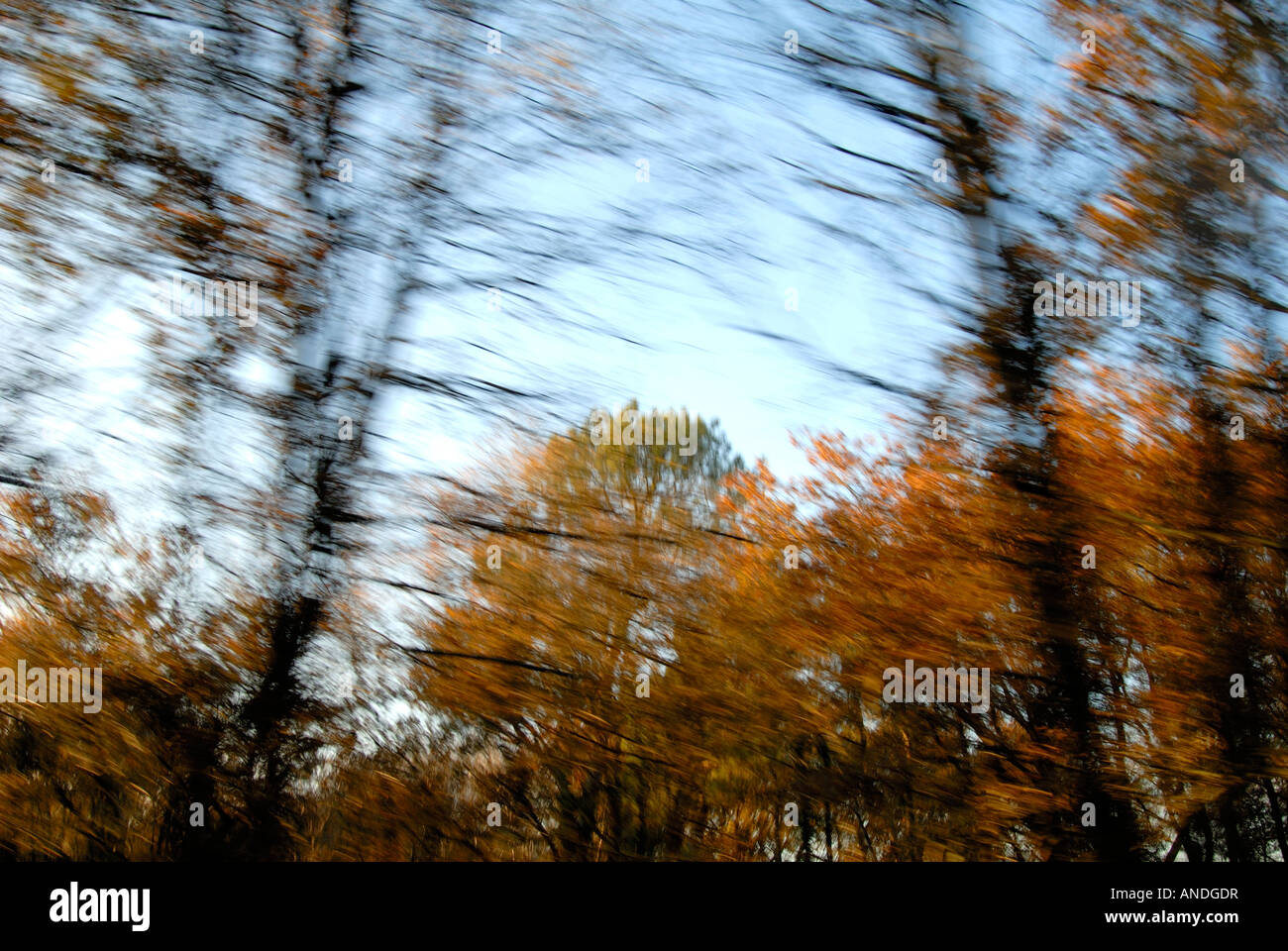 Blurred speeding motion through trees, France. Stock Photo