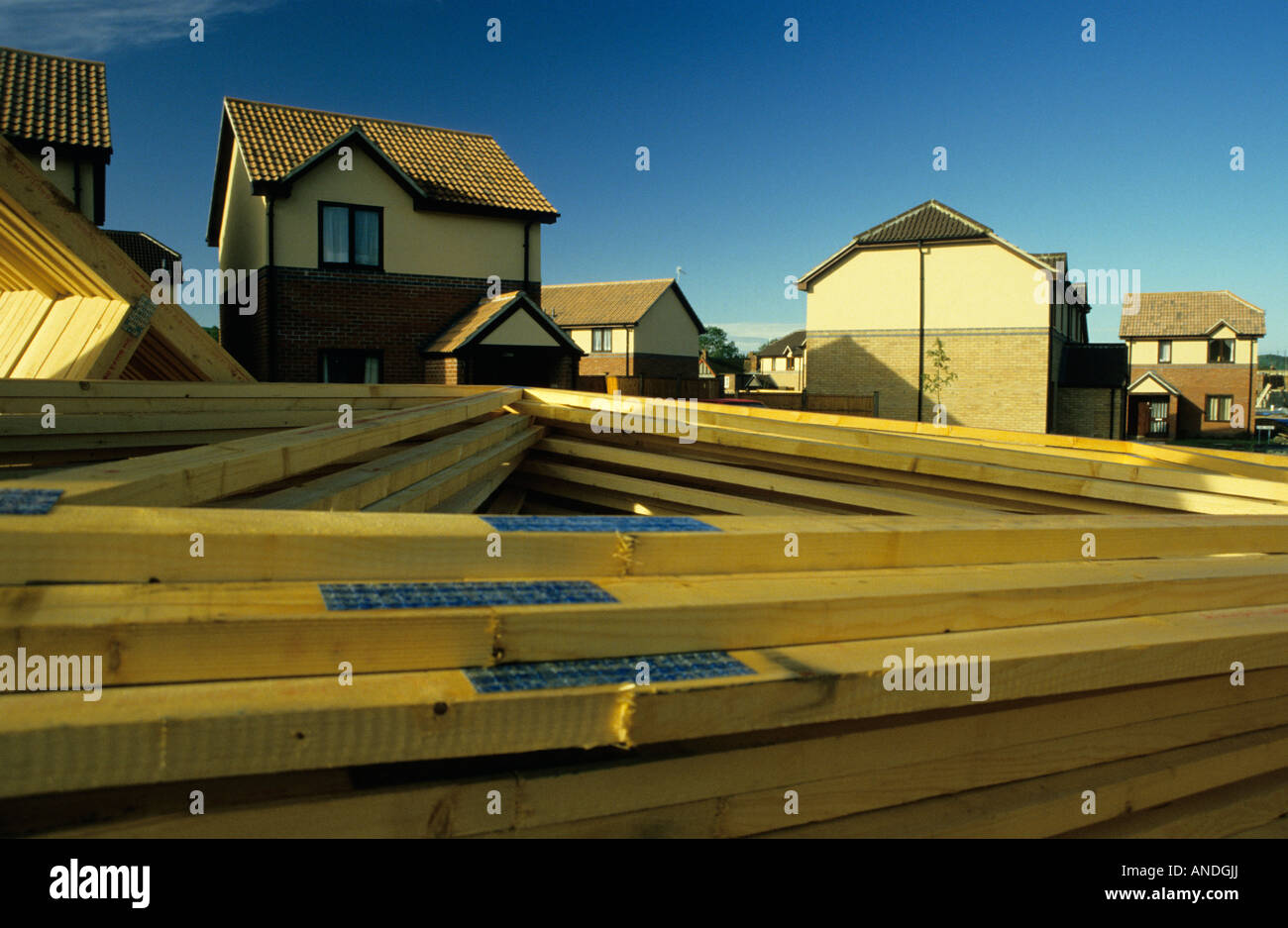 Building site / preassembled roof trusses, Wiltshire, UK Stock Photo