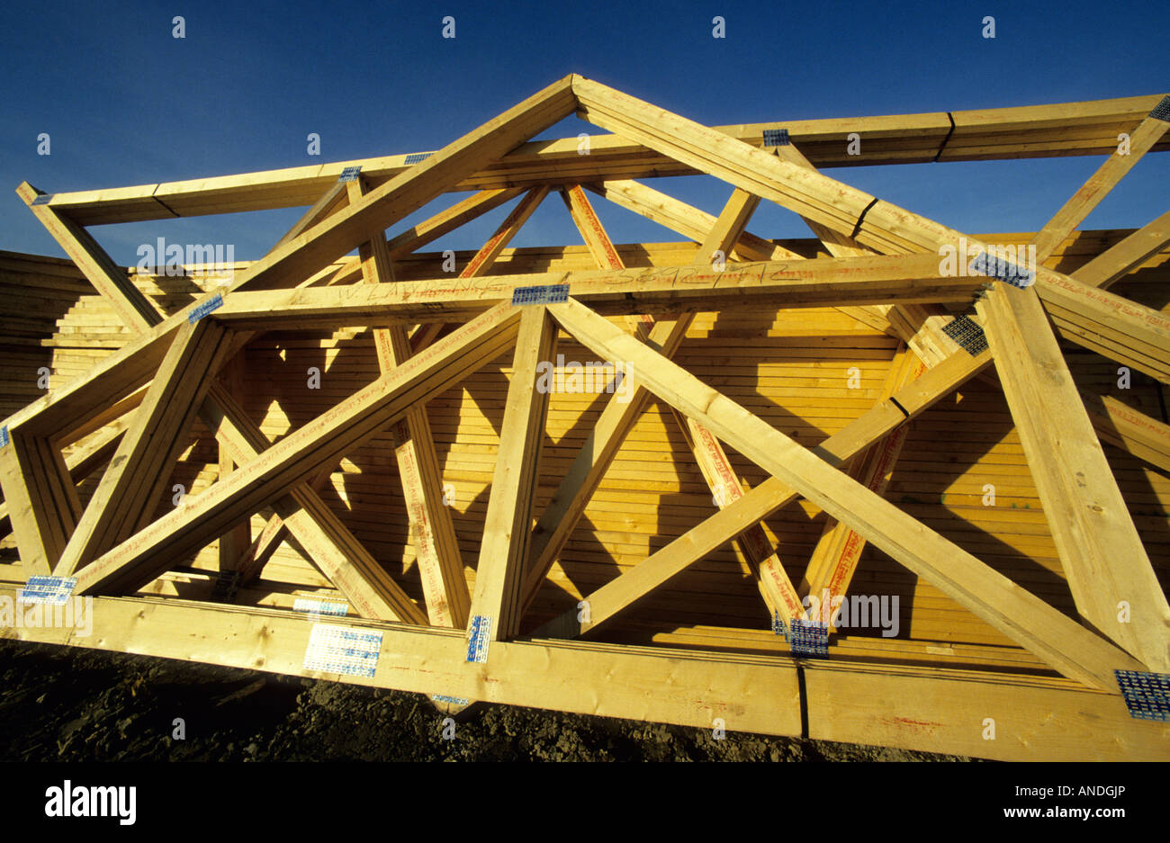 Building site / preassembled roof trusses, Wiltshire, UK Stock Photo
