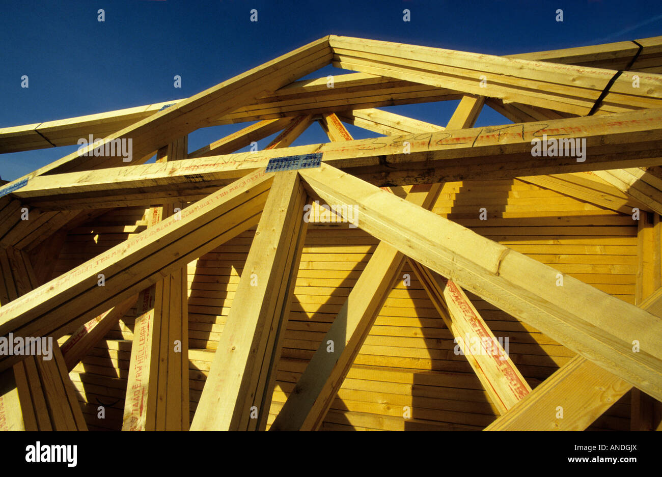 Building site / preassembled roof trusses, Wiltshire, UK Stock Photo