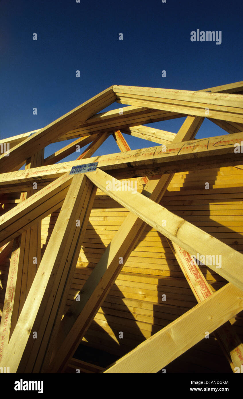 Building site / preassembled roof trusses, Wiltshire, UK Stock Photo