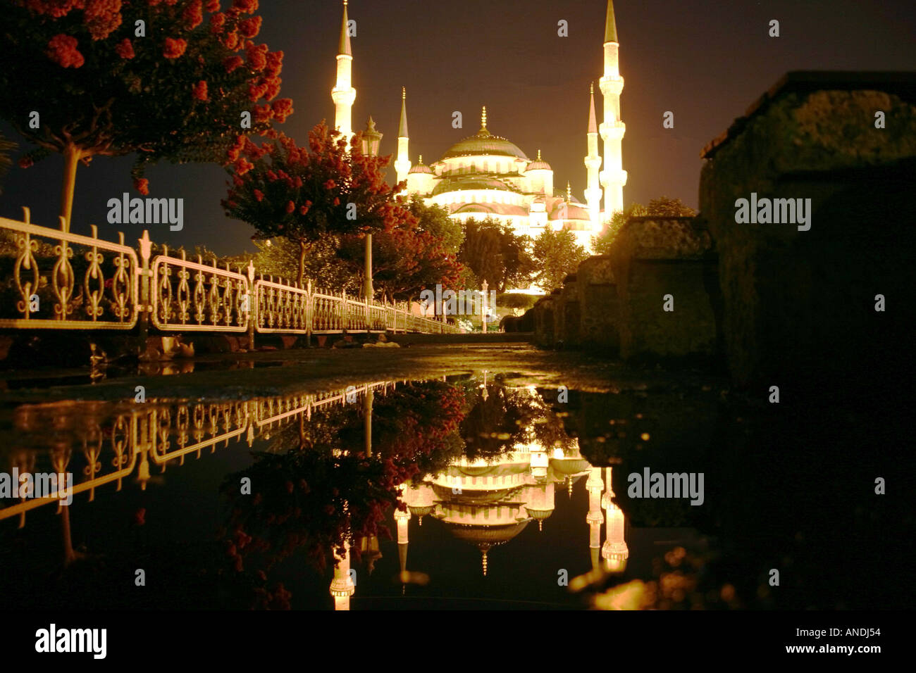 Reflections of Sultan Ahmet Camii Blue Mosque in Istanbul at night ...