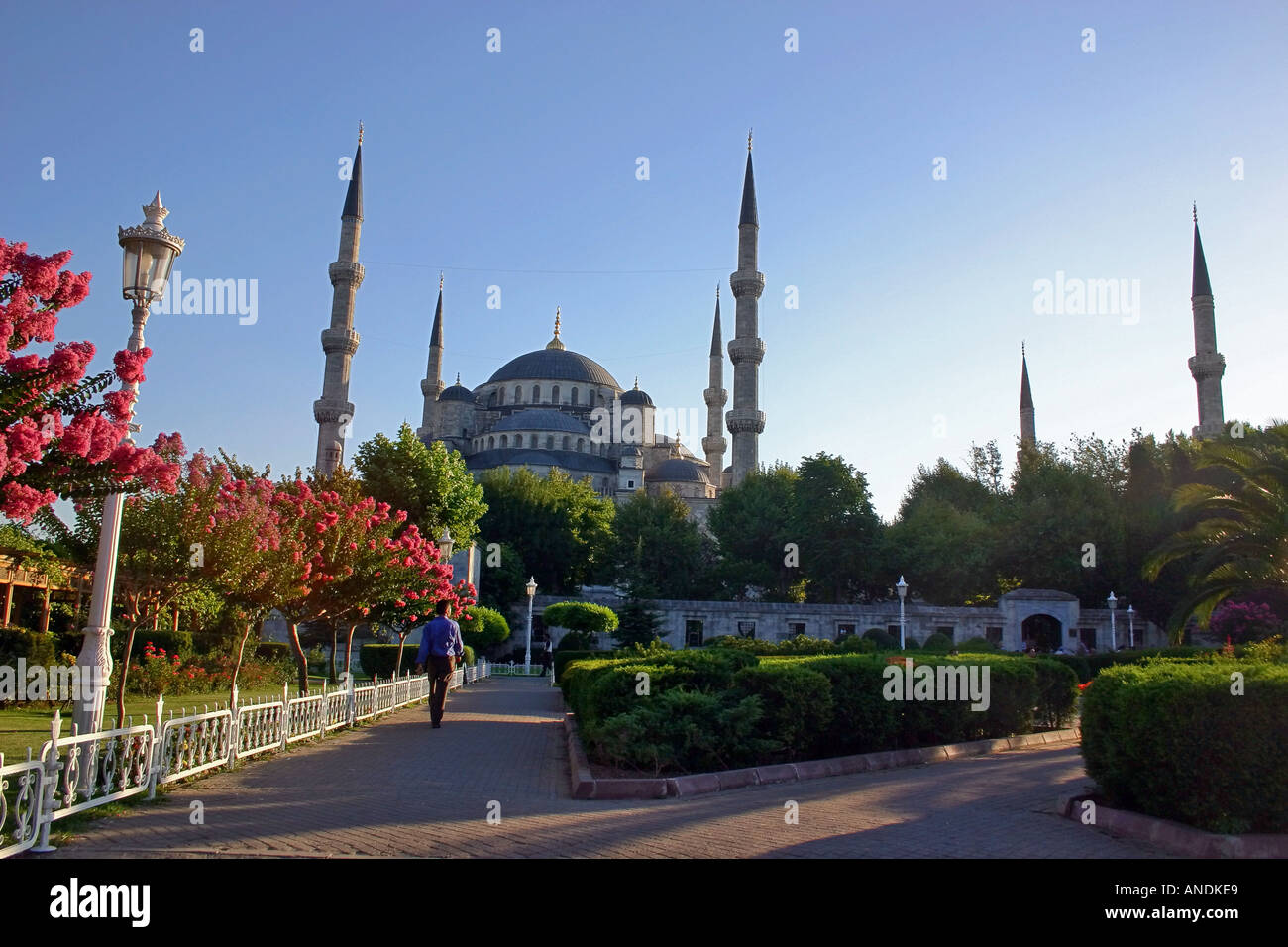 Sultan Ahmet Camii Blue Mosque in Istanbul Stock Photo - Alamy