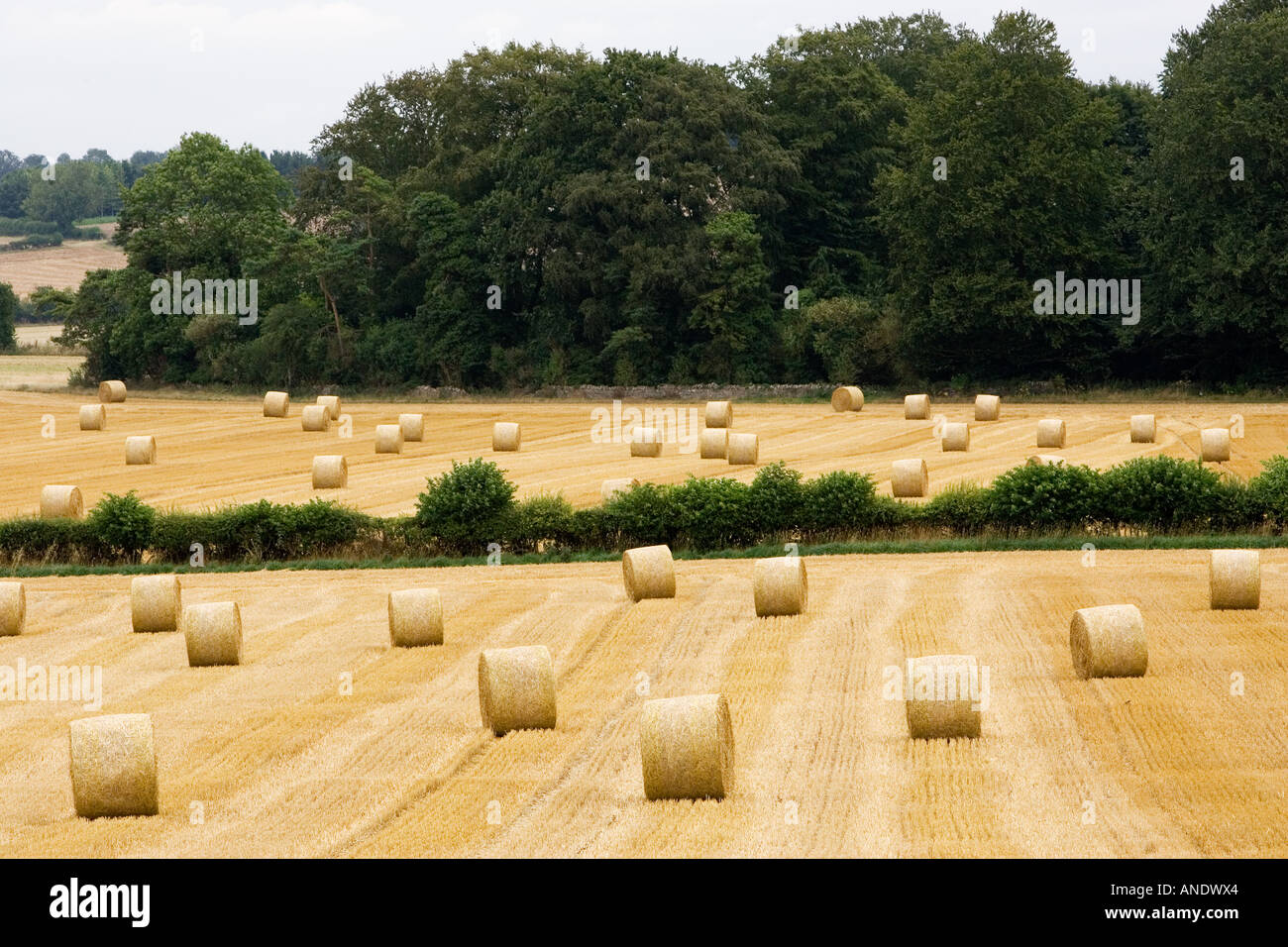 Straw bales in the Cotswolds at Swinbrook in Oxfordshire United Kingdom Stock Photo