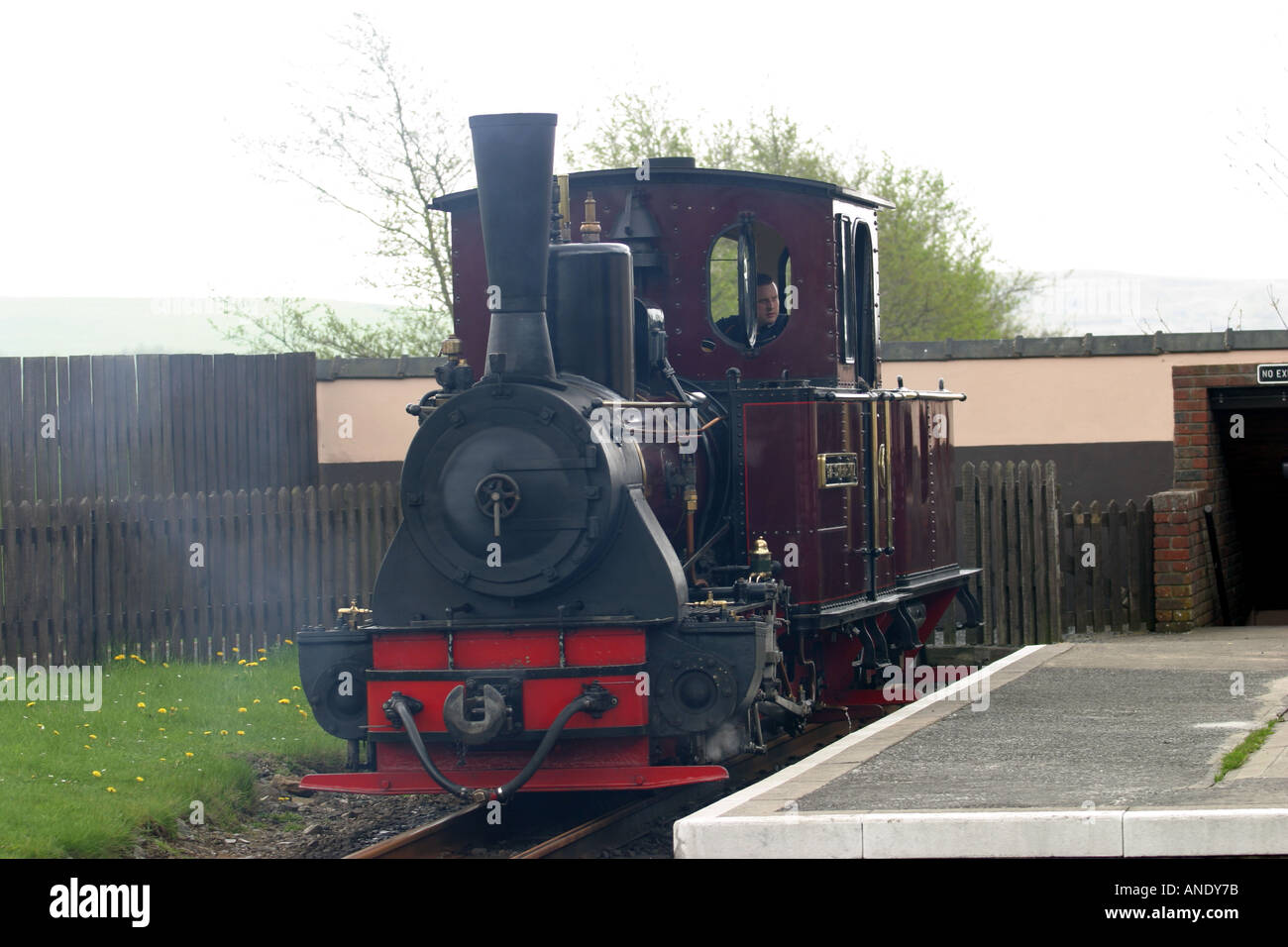 The Graf Schwerin Lowitz locomotive at Pant Station Brecon Mountain Railway Based on Brecon and Merthyr Railway open 1859 1963 Stock Photo