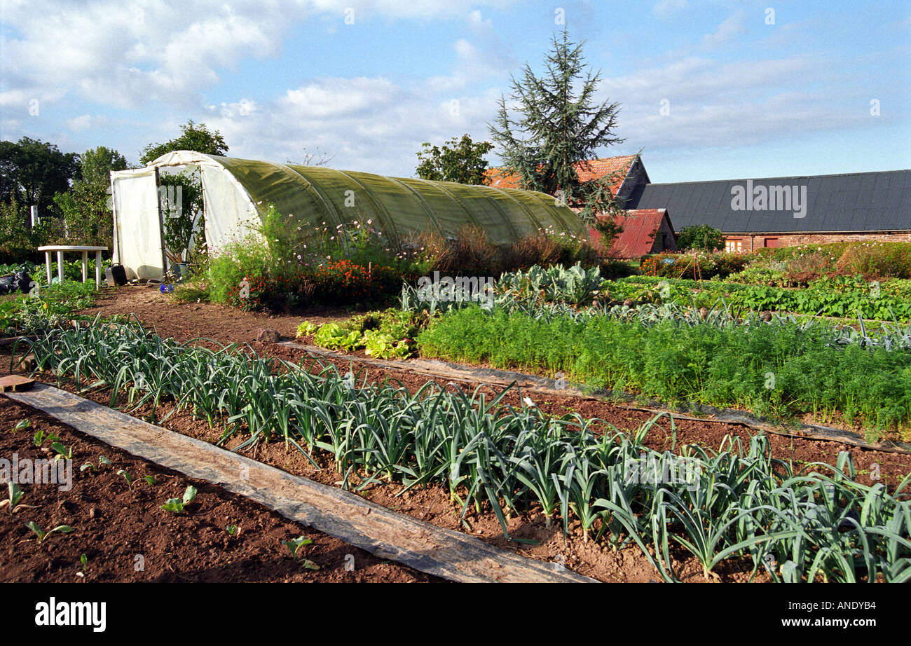 Vegetable garden Normandy France EU Europe Stock Photo Alamy
