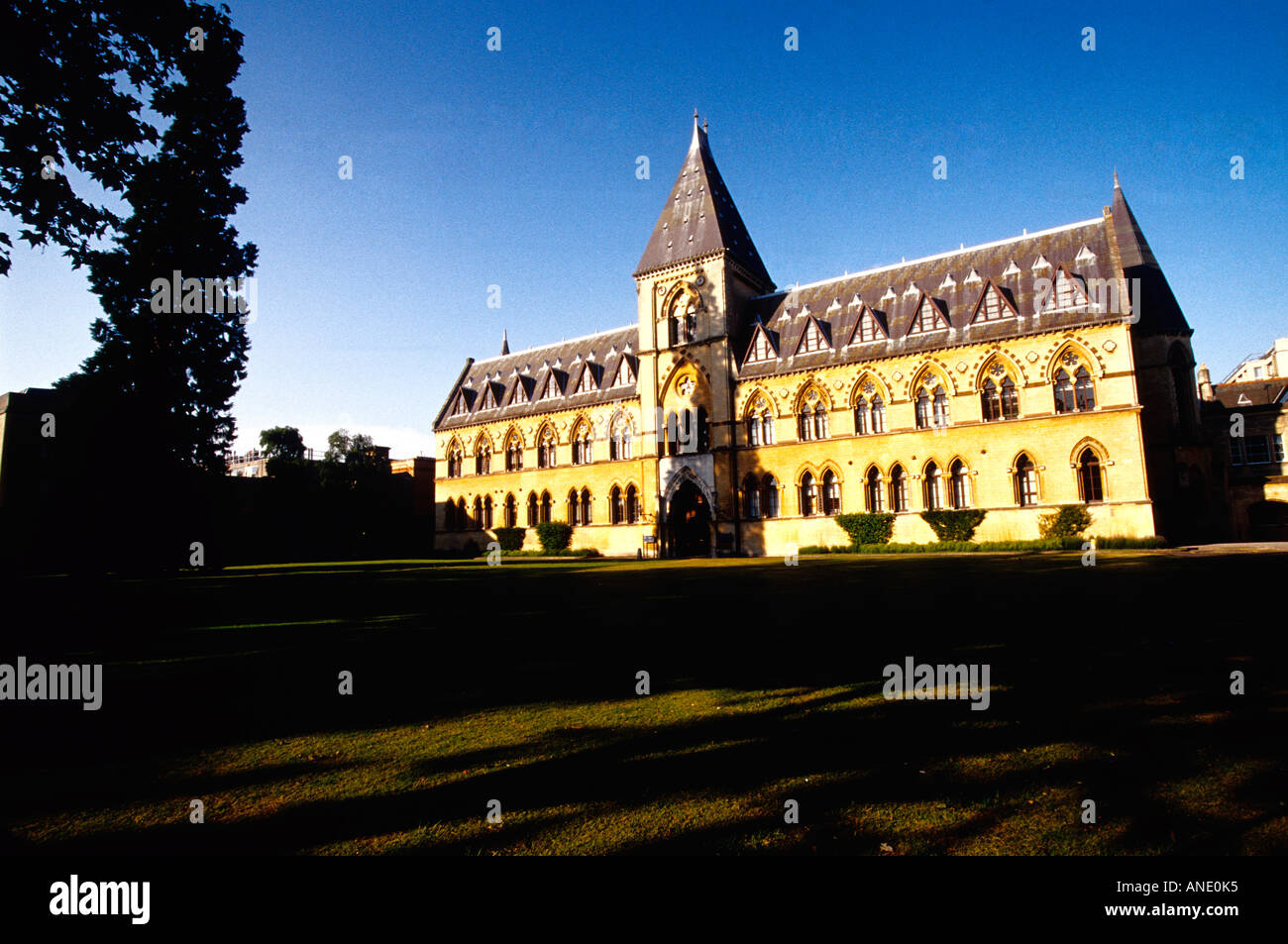 The Oxford University Museum of Natural History Stock Photo