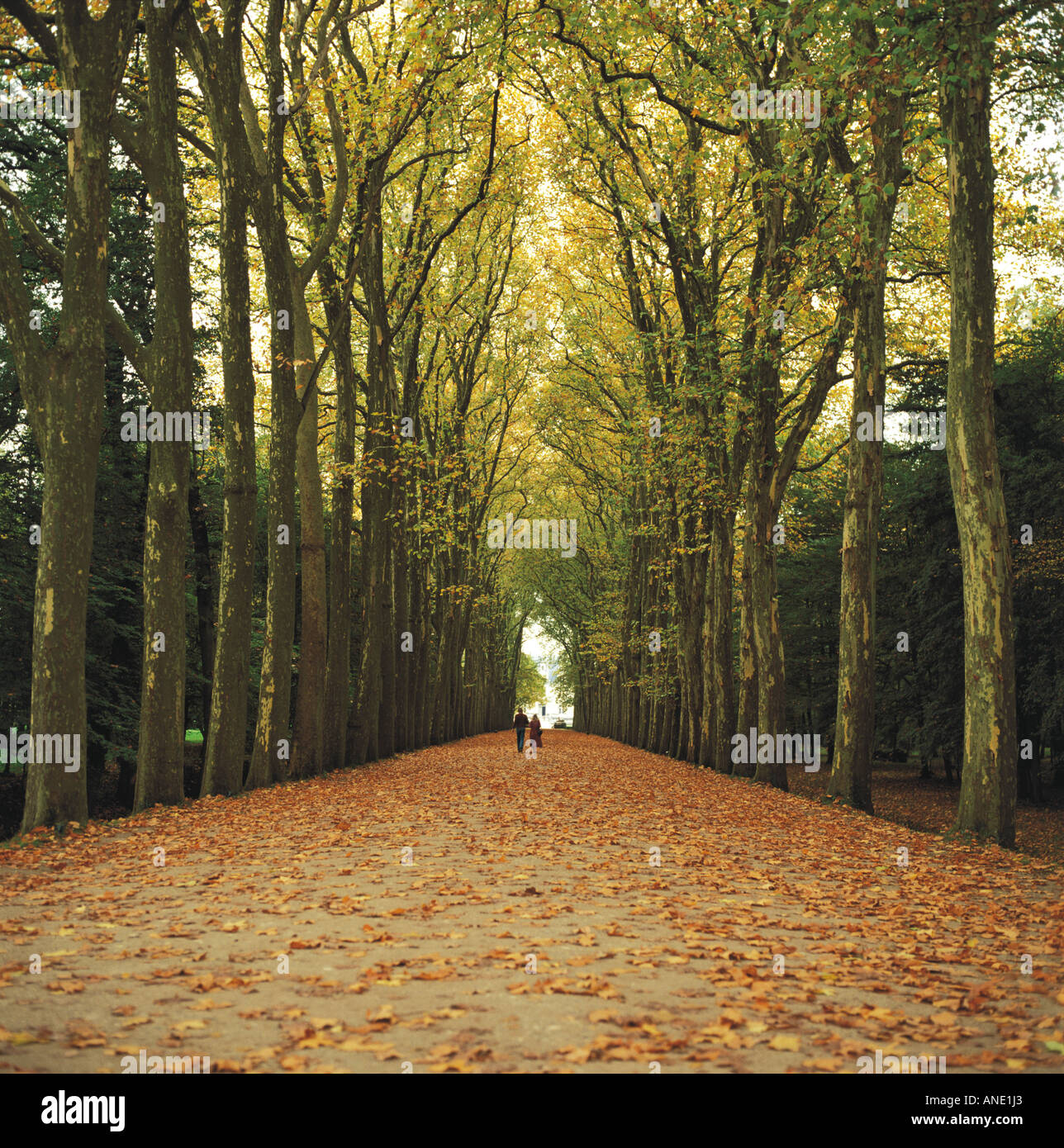 Dame fallen hi-res stock photography and images - Alamy