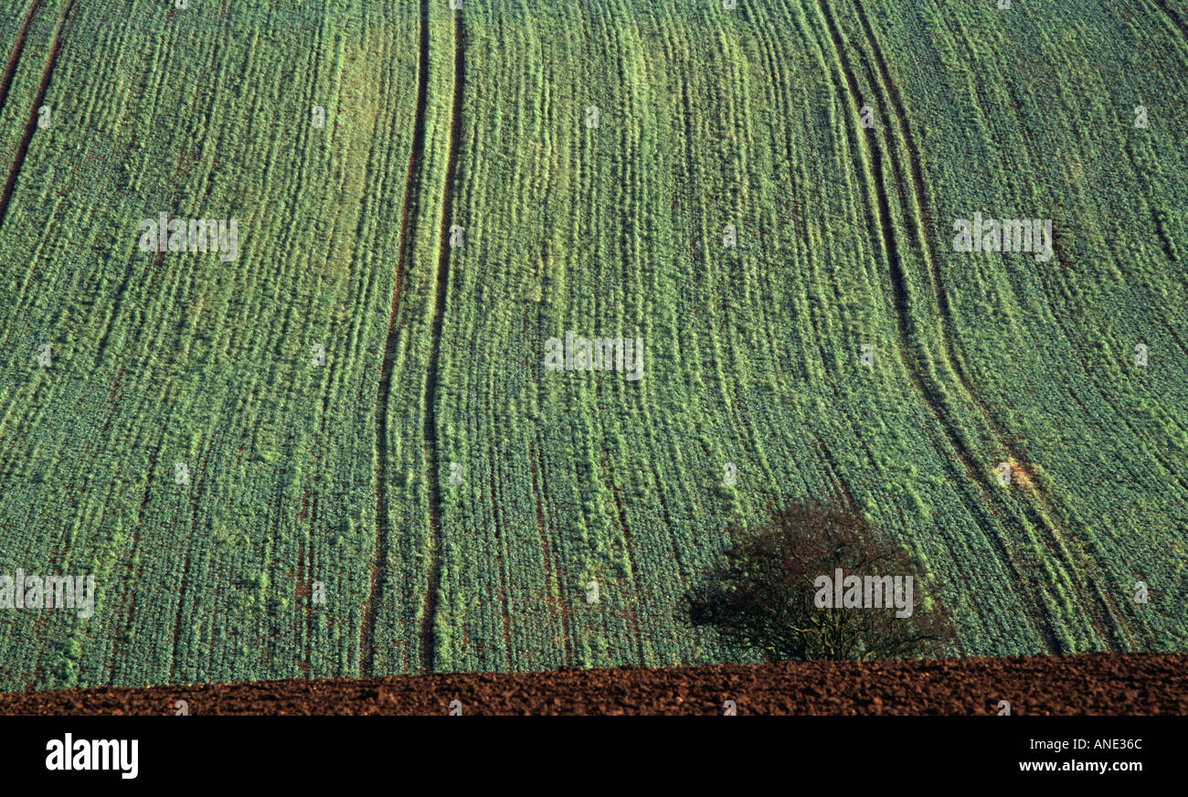 CROP PATTERN ENGLAND UK Stock Photo - Alamy