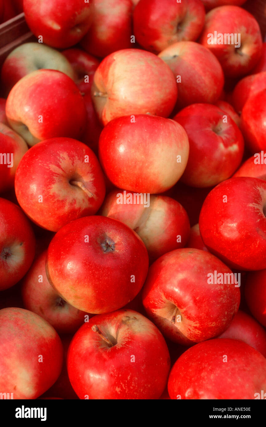 Supermarket apple produce usa hi-res stock photography and images - Alamy