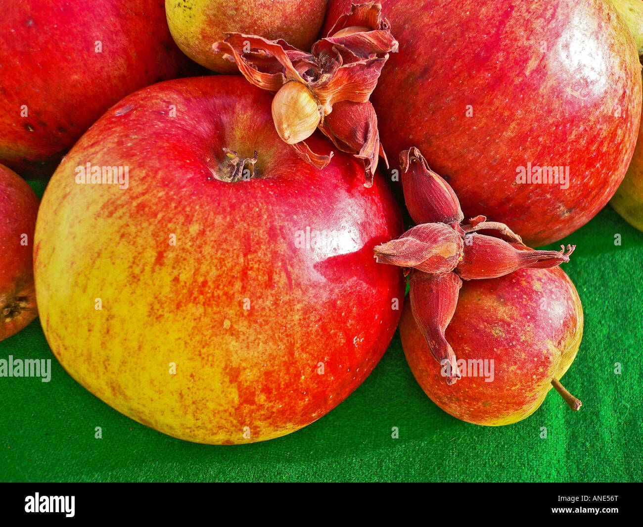 Apples and nuts grown organically shown just after harvest Stock Photo