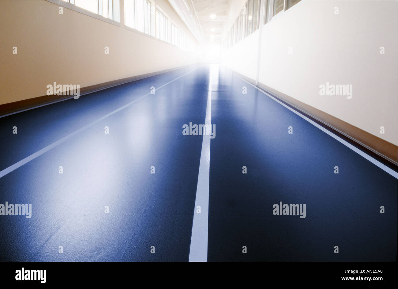 indoor track sneakers