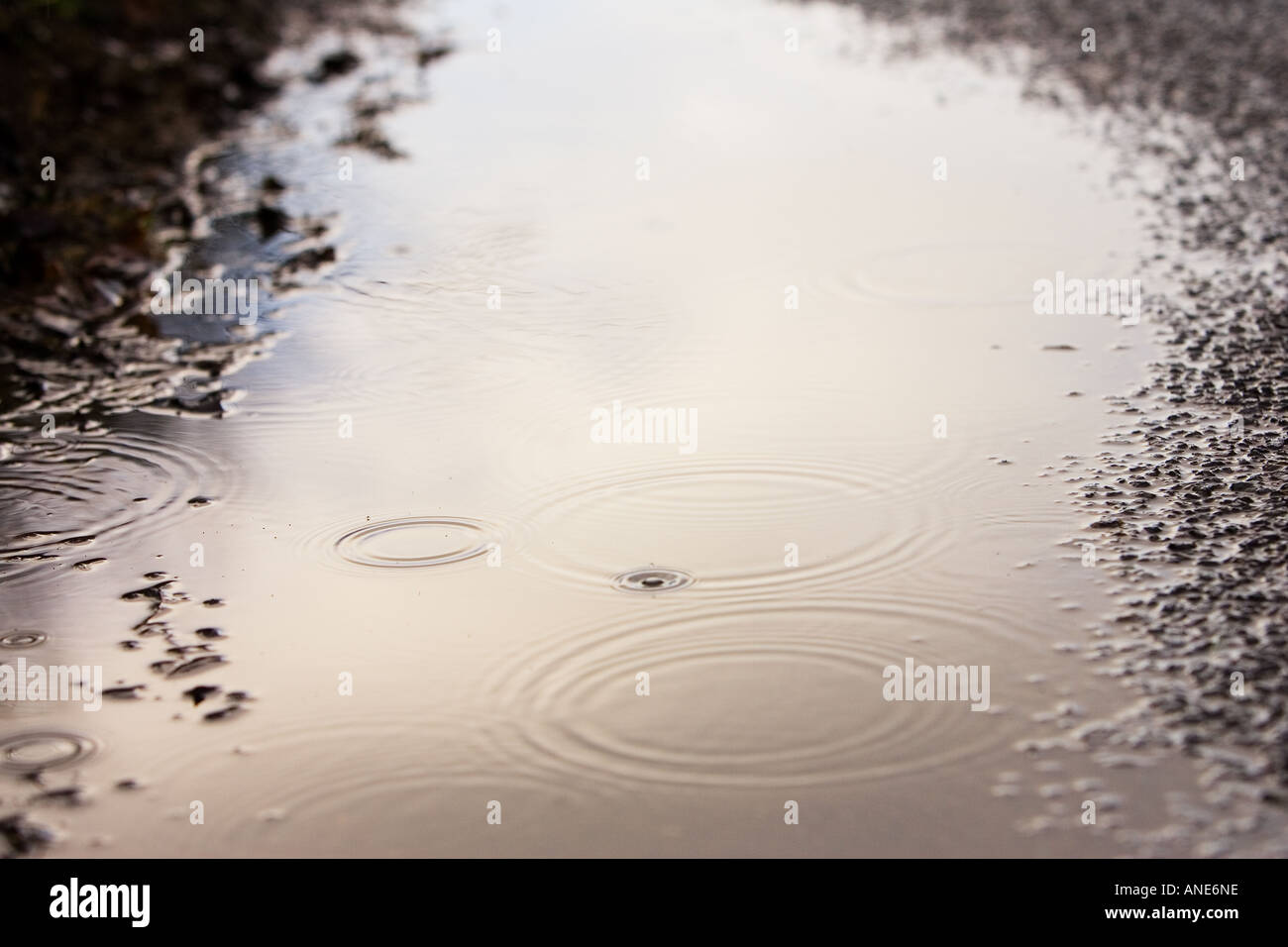 Ripples in a rainwater puddle Oxfordshire United Kingdom Stock Photo