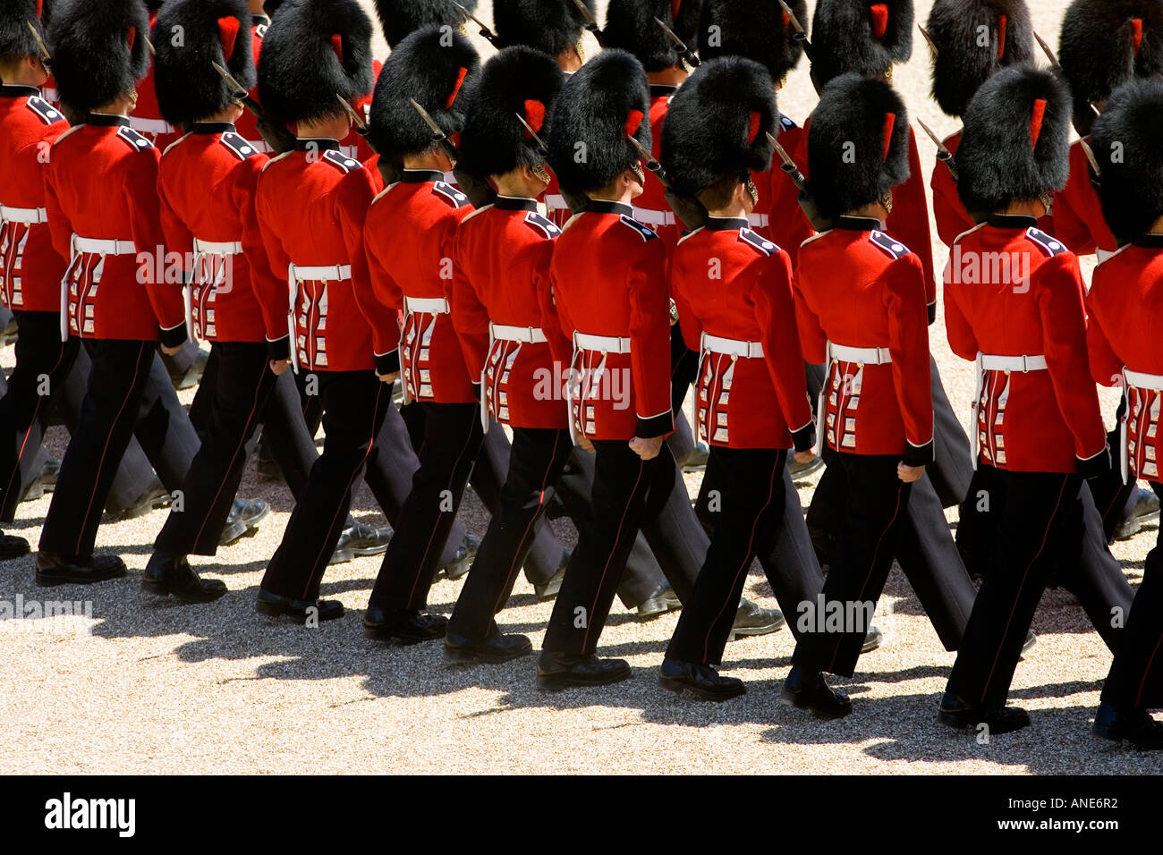Guardsmen rehearse military parade with SLR rifles London United Kingdom Stock Photo