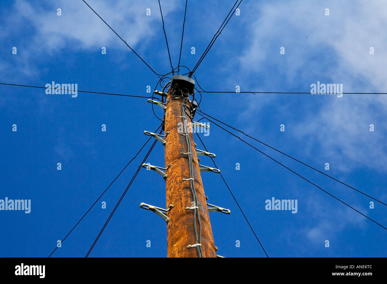 Telegraph pole telegraph poles hires stock photography and images Alamy