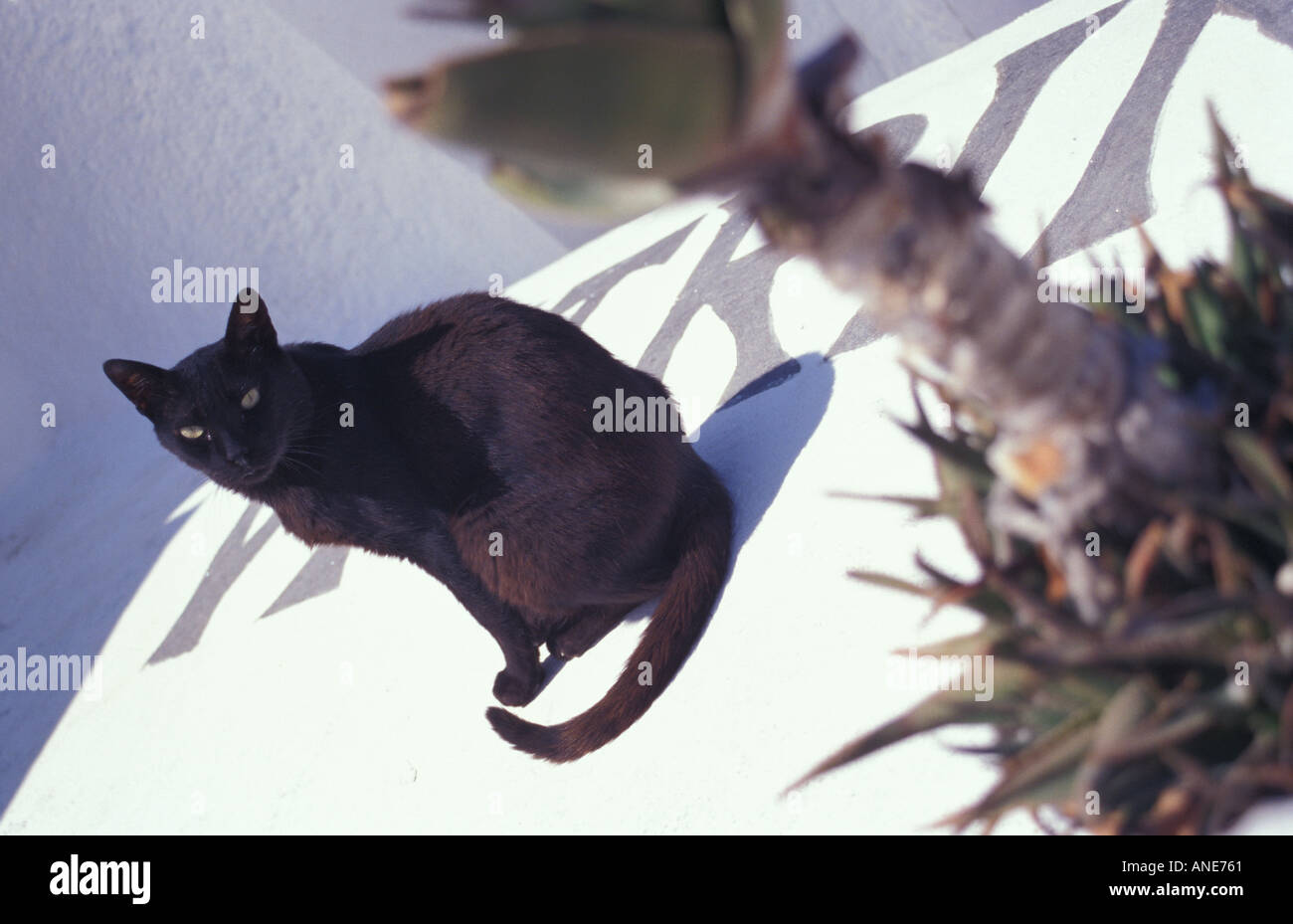 Gresan119 hires stock photography and images Alamy