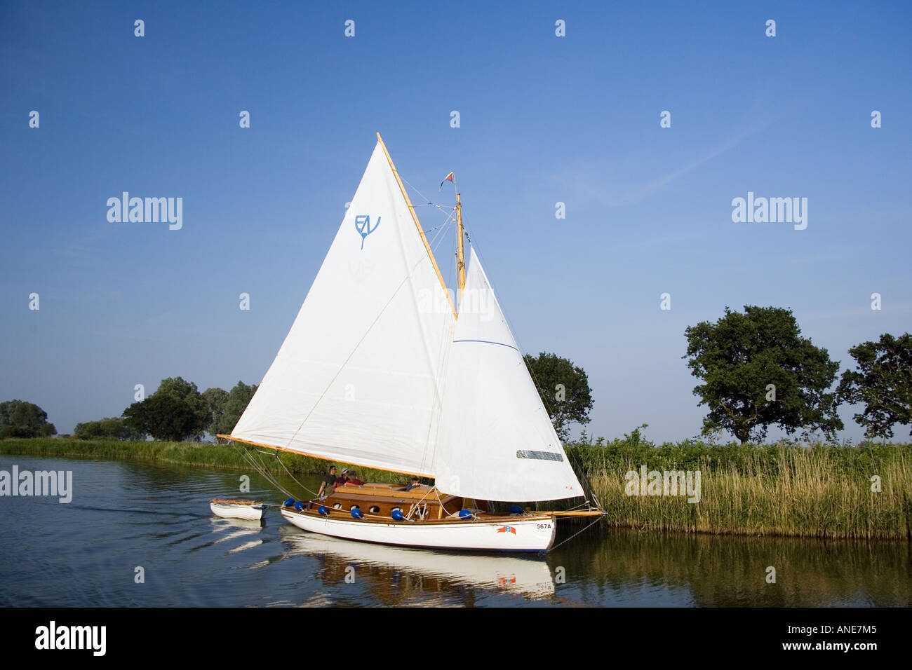 Sailing boat on the Norfolk Broads United Kingdom Stock Photo Alamy