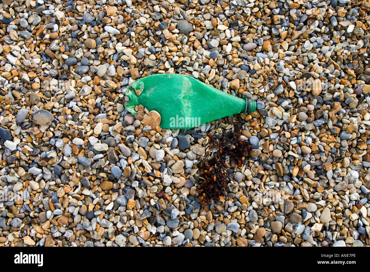 Plastic bottle discarded next to seaweed on Cley Beach Norfolk United Kingdom Stock Photo