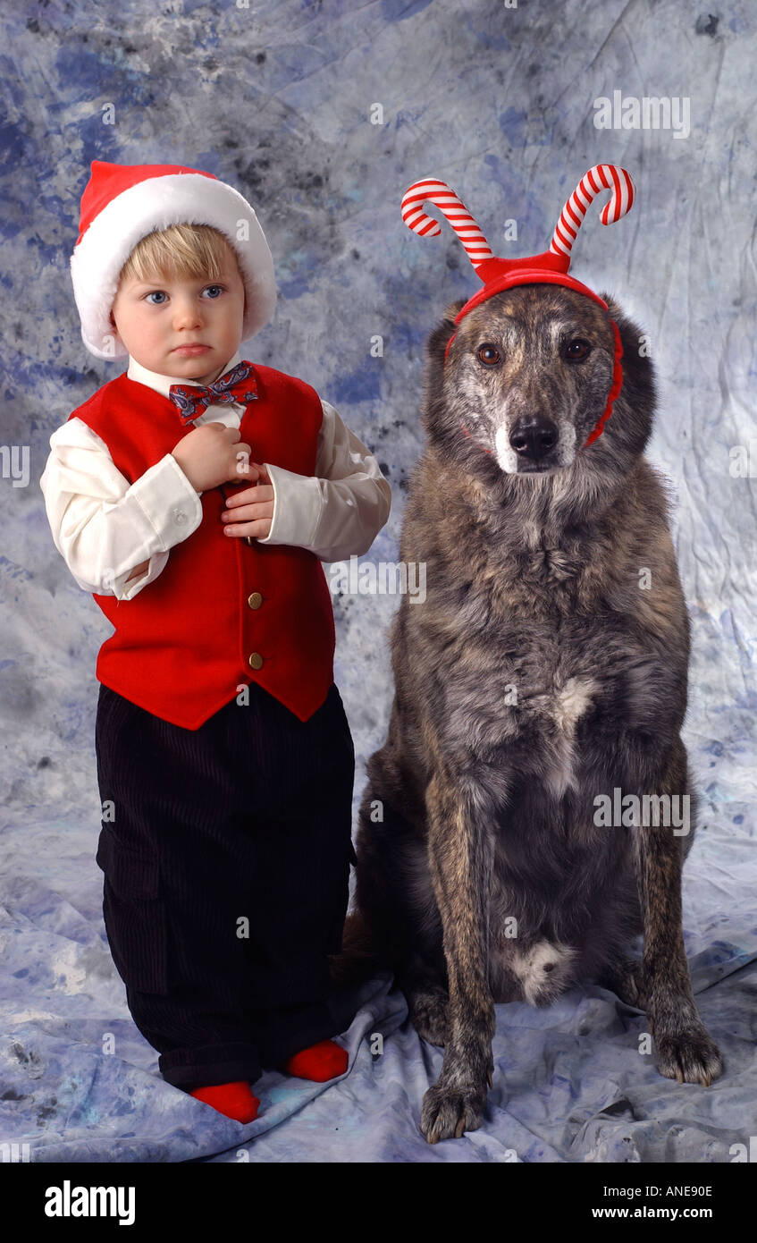 Small boy with pet dog family christmas card humour funny Stock Photo