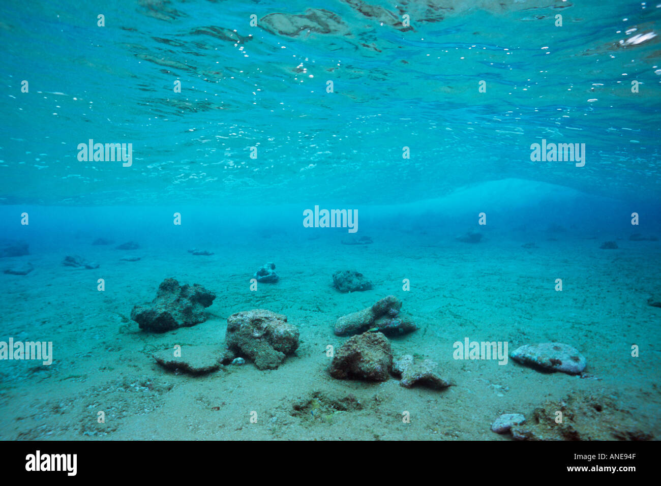 Underwater Sea Floor High Resolution Stock Photography and Images - Alamy