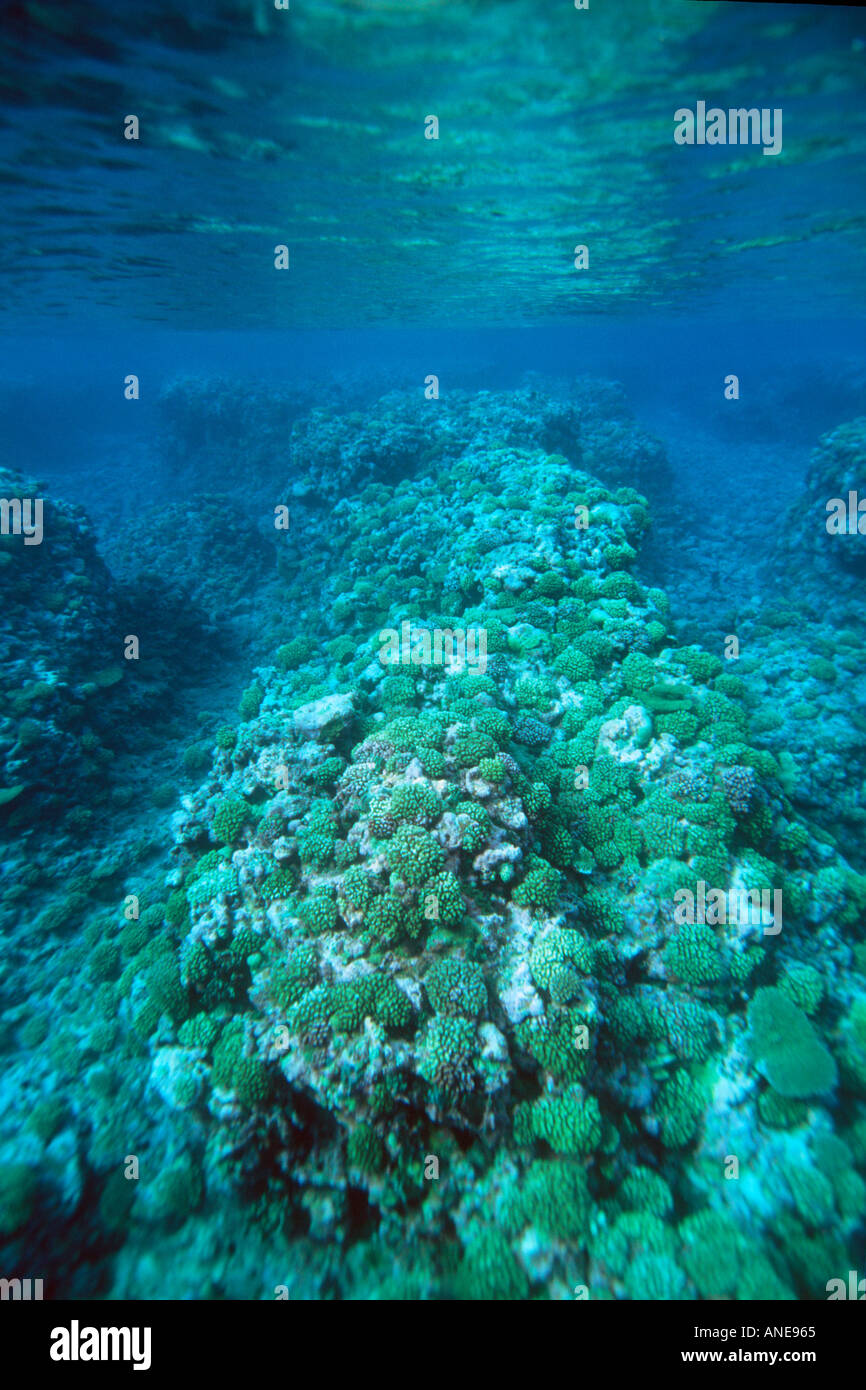 Mili Atoll High Resolution Stock Photography and Images Alamy