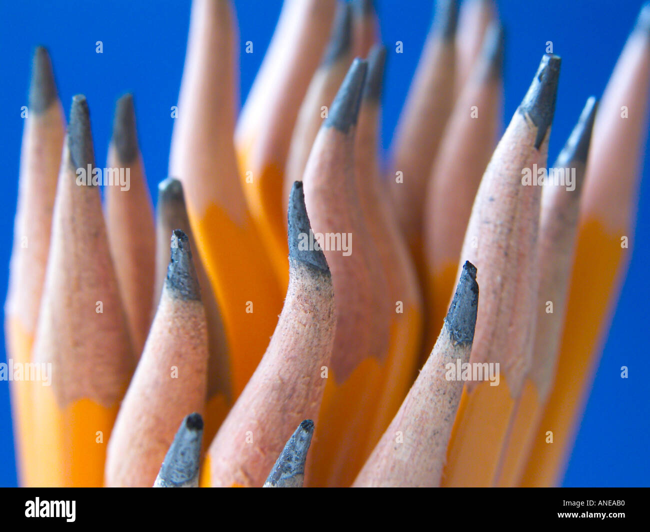 pencils Stock Photo